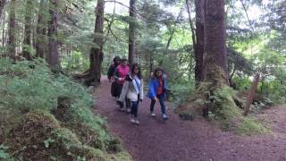 Hiking Tongass National Forest in Sitka Alaska [upl. by Serra355]