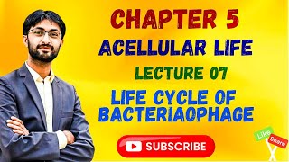 Life Cycle of Bacteriaophage Class 11 MDCAT [upl. by Lionello]