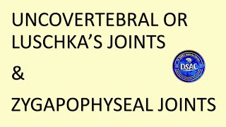 Luschkas or Uncovertebral Joints  Zygapophyseal joints  Dr Azmi Mohsin [upl. by Ugo]