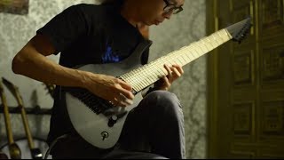 PanteraCoversFromHell 2014 Winner  Shedding Skin Skervesen Guitar amp Bass Full Cover [upl. by Aneeuqal279]