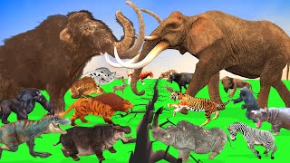 Prehistoric Animals Epic Battle Ice Age Animals vs Modern Mammals Animal Revolt Battle Simulator [upl. by Tonjes383]