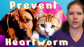 Protect Your Pets From Heartworm  A Veterinarian Explains D Immitis Pt 1 [upl. by Eednil]