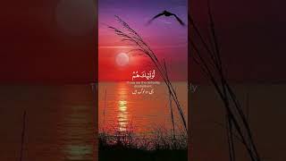 alkareem beautifulrecite alquran beautifulrecitaion [upl. by Frasco]