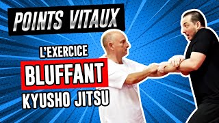 Points vitaux  Lexerice bluffant pour tester votre énergie Kyusho jitsu N°1 [upl. by Ellehcirt941]