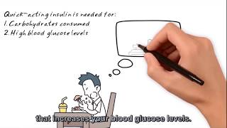 Understanding Diabetes Insulin amp Preventing Hypoglycemia Low Blood Glucose Levels [upl. by Oicnerual483]