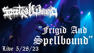 Spectral Wound  quotFrigid and Spellboundquot Live 52823 [upl. by Keryt934]