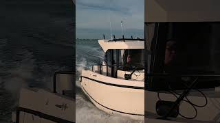 Trophy  T25 Pilothouse  Bayliner Boats [upl. by Ariamat]