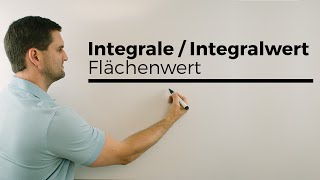 Integrale Integralwert Flächenwert im Sachzusammenhang  Mathe by Daniel Jung [upl. by Julia]