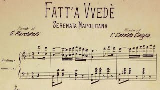 F Cataldo Ciniglio  Fatta Vvedè  Serenata Napolitana   1885 [upl. by Ahtan944]