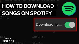 How To Download Music From Spotify 2022 [upl. by Lavinie132]