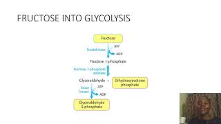 Biochemistry SimplifiedFructoseANDGalactoseintoGlycolysis [upl. by Rai710]