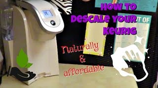 HOW TO DESCALE A KEURIG WITH VINEGAR amp REPLACE THE FILTER [upl. by Falo]