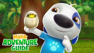 NEW EPISODE What To Do With An Egg 🥚 Talking Hanks Adventure Guide Island Living [upl. by Alisun]