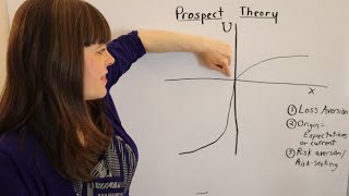 Prospect Theory An Overview [upl. by Nadabas]