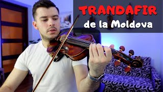 TRANDAFIR DE LA MOLDOVA [upl. by Palila]