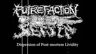 Putrefaction Sets In  Dispersion of Post​​mortem Lividity 2021  Goregrind [upl. by Airt831]