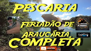 Pescaria completa deste feriadão Aniversario de Araucária [upl. by Einnij]