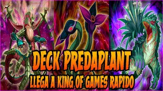 LA MEJOR VERSION DE PREDAPLANTAS PARA COMPETIR  DECK PREDAPLANT  YUGIOH DUEL LINKS [upl. by Nalyorf118]