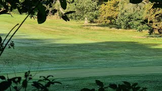 Walking about in Farleigh Woods Live 15092024  Mobile Stream 789 [upl. by Attenov]