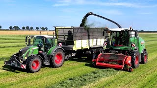 Vol gas in het gras met Fendt katana 65 Loonb Bouwman Noordbroek 4K [upl. by Casabonne985]