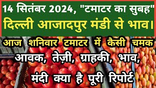 14 सितंबर 2024 टमाटर का भाव Azadpur Delhi Mandi Today delhifruitmarket tomato tomatoes dmt tv [upl. by Zilada]