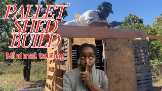 Pallet shed build From beginning until now minimal talking [upl. by Obelia]