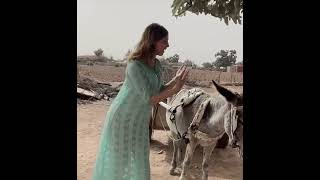 Donkey with woman [upl. by Ananna960]