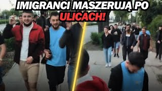 GRUPA IMIGRANTÓW MASZERUJE ULICAMI SZOKUJĄCE [upl. by Elocon610]