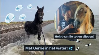 Met Gerrie het water in 💦🥰 En werkt vanille tegen vliegen [upl. by Emmery477]