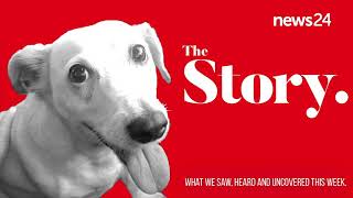 PODCAST  The Story Is dognapping on the rise [upl. by Clover]