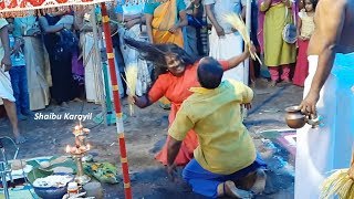 നാഗയക്ഷിയുടെയും നാഗരാജാവിന്റെയും തുള്ളൽ  NAGAYAKSHI AND NAGARAJAVU THULLAL [upl. by Juliano124]