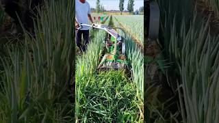 quotFast Farming Mini Rotary Tillage amp Ridging Made Easyquot rotarytiller learning farming [upl. by Karalynn]