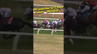 Breeders Cup Turf 2022 Highlights A Race of Champions [upl. by Nonnarb]