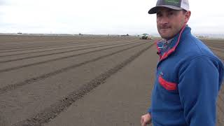 Lettuce Production in the Salinas Valley [upl. by Heyes870]