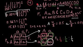 How to find how many alleles control a trait [upl. by Nylessej]