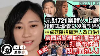 元朗721暴動，證人出庭還原當日現況，見不到孕婦？林卓廷陰招嚇退證人？APEC有沒有請李家超？西媒：政府說謊！美國議會現紅掌抗議，卻派警察拉人！穎欣議會會丹麥人＋論僭建︱陳穎欣｜20231102 [upl. by Sulakcin]