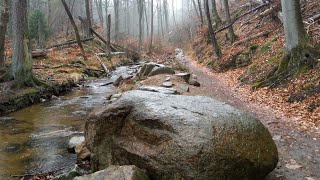 Von Ilsenburg zu den Ilsefällen im Harz [upl. by Bumgardner]