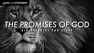 The Promises of God  Bible Verses For Sleep [upl. by Eiddam378]