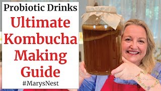 Beginners Guide to Kombucha Making  How to Make Kombucha at Home [upl. by Nalra690]