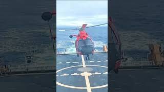 MH65 Dolphin helicopter [upl. by Rhodes]