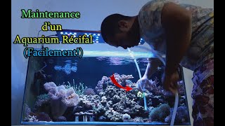 Aquarium Maintenance dun récifal eau de mer  Tuto  salinité  changement deau  siphonnage [upl. by Eintruoc]