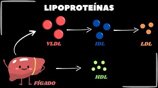 O que e quais são as principais lipoproteínas [upl. by Un]