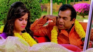 America Vs India Comedy Scene  Nagarjuna amp Brahmanandam Comedy Scene [upl. by Karoly]