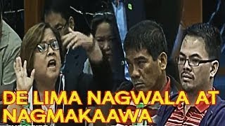 AWARD WINNING DE LIMA NAGWALA AT NAGMAMAKAAWA KAY DAYAN AT KERWIN SA SENATE HEARING [upl. by Ecinnaj]