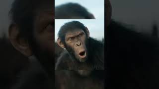 Kingdom of the Planet of the Apes l Chaos in the JungleA Girl vsan Army of Apes l Official Trailer [upl. by Tram]