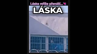 LÁSKA MŘÍŽE PŘENÁŠÍ [upl. by Aimahs]