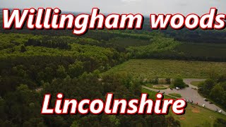 Willingham woods Lincolnshire [upl. by Hilton]