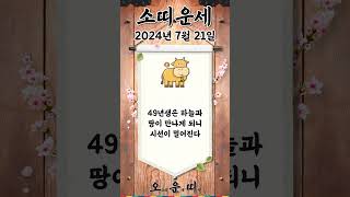 오늘의 소띠 운세 2024년 7월 21일 소띠 오늘의운세 내일의운세 운세 운세쇼츠 [upl. by Iznekcam]