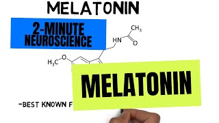 2Minute Neuroscience Melatonin [upl. by Luca]