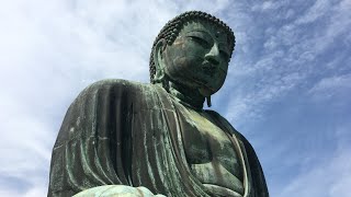 【鶴岡八幡宮、江ノ電に乗って鎌倉高校前、江ノ島、御霊神社、鎌倉大仏など鎌倉観光  】 In Kamakura of Kanagawa Japan [upl. by Hurlee]